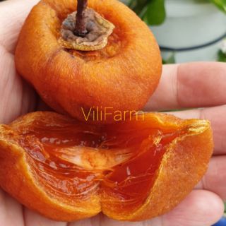 🍑🍑HỒNG TRỨNG LỚN KHÔNG HẠT SẤY GIÓ
