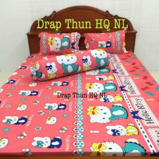 Bộ ga chun + 3 vỏ gối