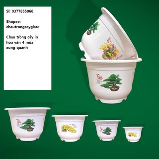 Chậu nhựa trồng cây màu trắng in hoa văn xung quanh, Chậu trồng hoa để ban công trong nhà, kích thước to rộng nhiều size