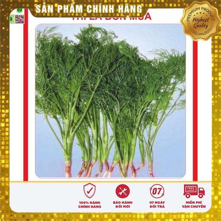 Hạt giống thì là bốn mùa 10gr [Bán Sỉ]