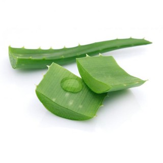 Chiết xuất nha đam (Aloe Vera Extract) Greenlab - 50g / 100g - Nguyên liệu mỹ phẩm