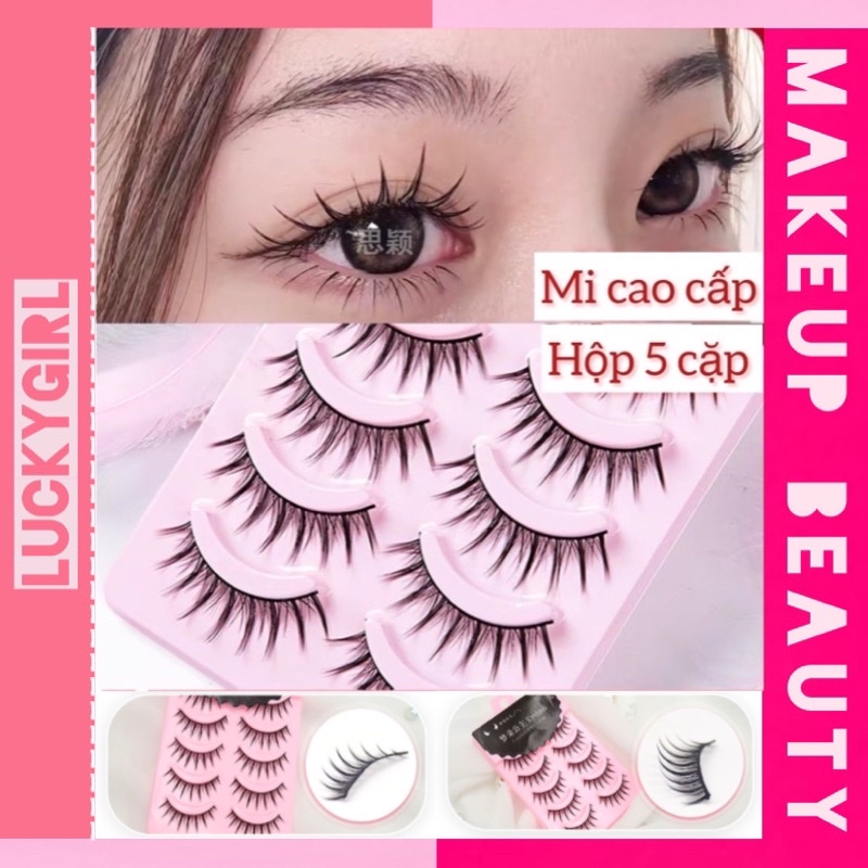 5 Cặp Lông mi búp bê vỏ hồng siêu đẹp