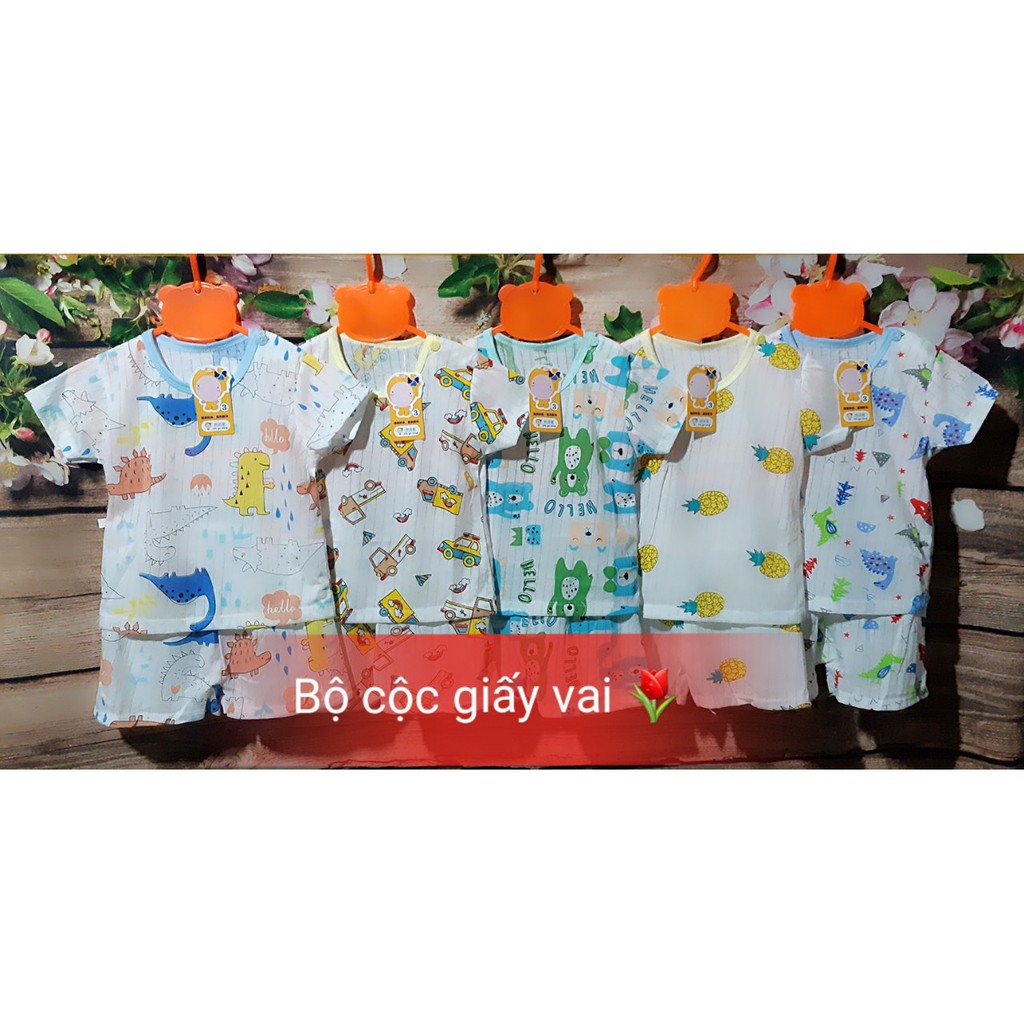 RẺ VÔ ĐỊCH - Bộ cộc tay thun cotton giấy cho bé 3-15kg