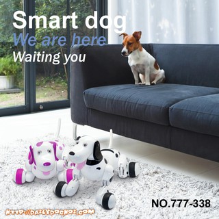 Chó Đốm SMART DOG thực hiện được nhiều động tác như thật