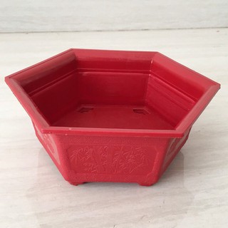 Chậu bonsai lục giác Mini (21cmX8cm)