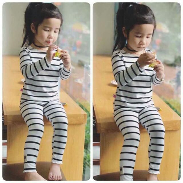 Combo Quần và áo len