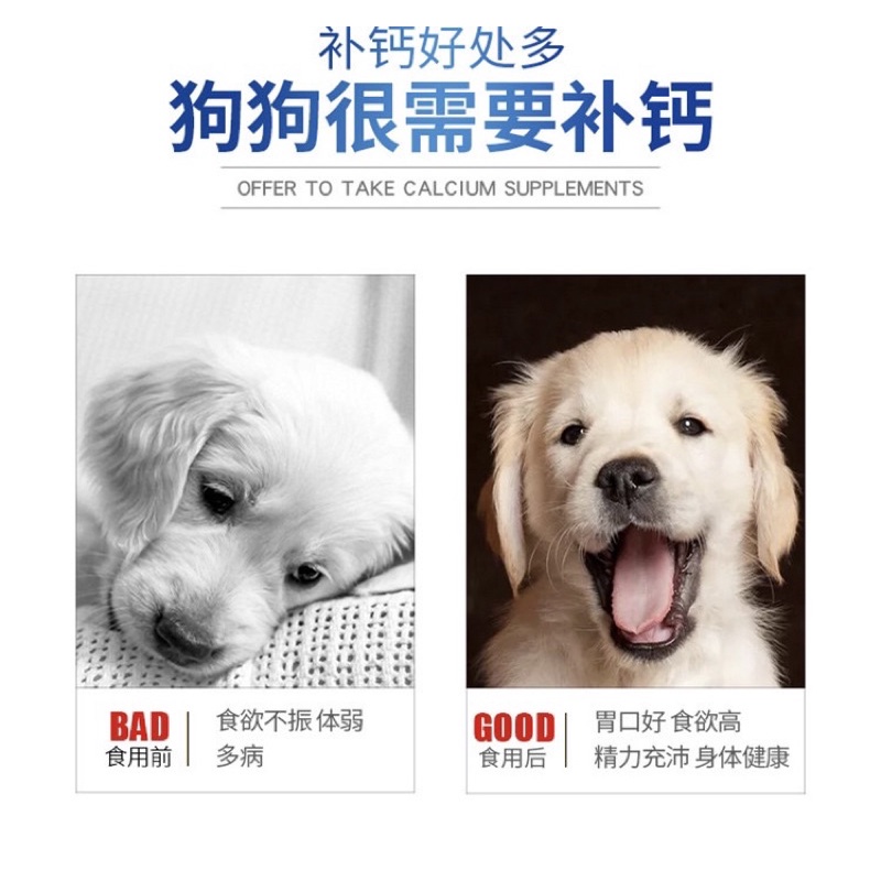 Canxi cho chó Borammy Canxi cho mèo phát triển răng và xương tốt cho chó mèo bầu BM01