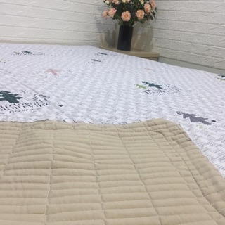 Combo Chăn hè cotton