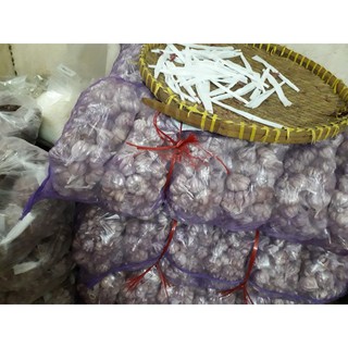 tỏi bắc-tỏi tím 1 kg