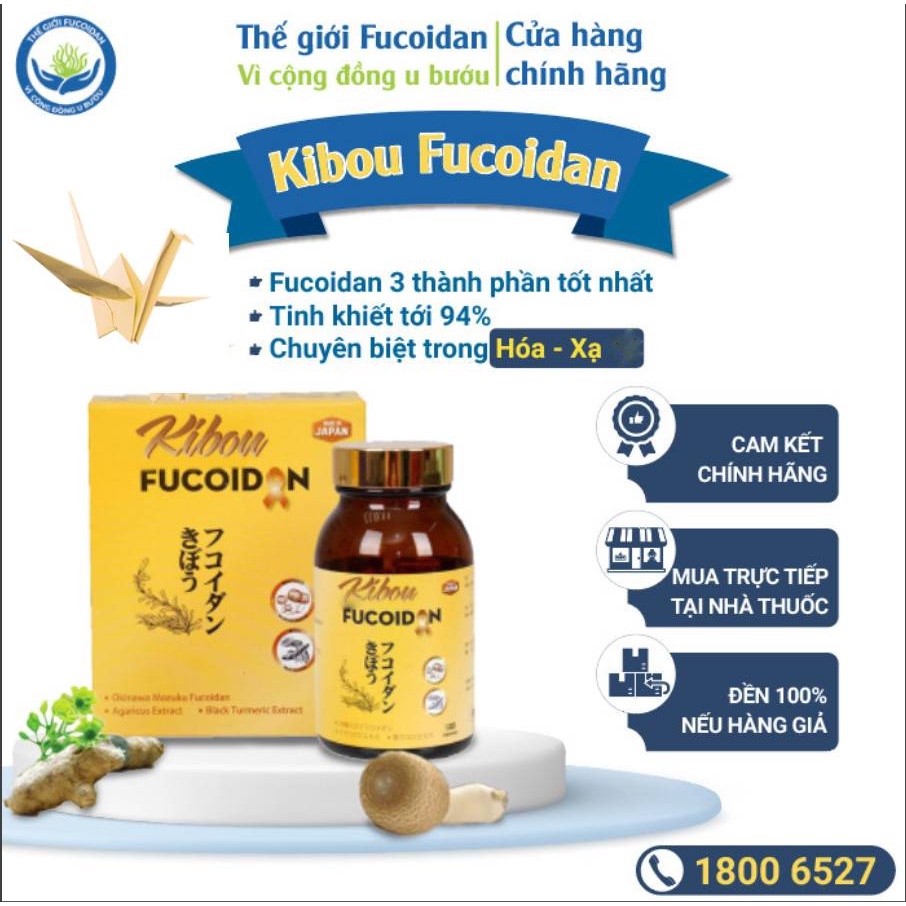 Kibou Fucoidan 120 viên - Tăng cường miễn dịch, hỗ trợ u bướu
