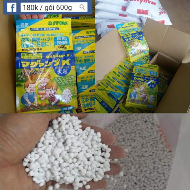 🇯🇵Phân Magampk Nhật Bản giải pháp an toàn cho hoa lan nhà bạn.Cực an toàn với các cây lan giá trị.