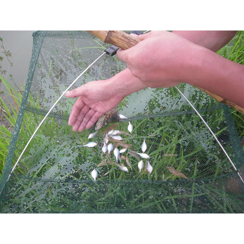 VÓ TÔM - Bắt TÔM - TÉP