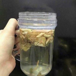 Trà xả organic thái lan