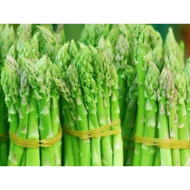 Gói 50 Hạt giống măng tây xanh KHUYẾN MẠI SHOP MỚI HẠ GIÁ SỈ