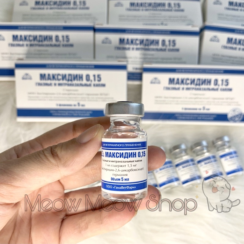 Nhỏ mắt mũi Maxidine 0.15 cho chó mèo nhập Nga