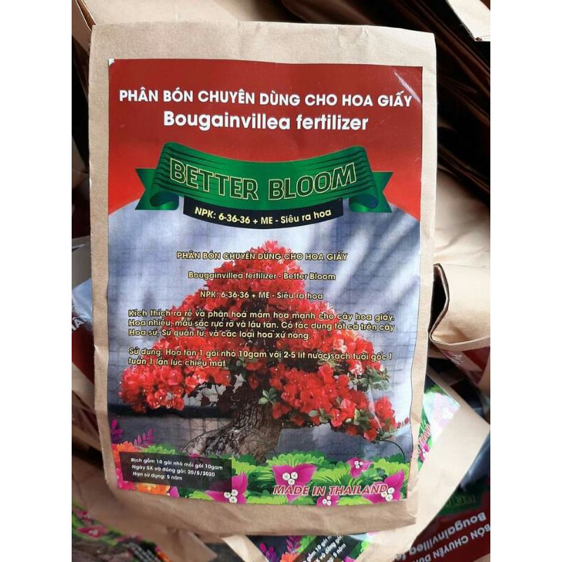 Phân bón dành cho hoa giấy