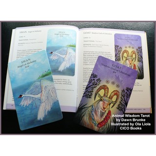 Bộ Bài Spirit Animal Tarot (Animal Wisdom Tarot) (Guu Tarot Shop)
