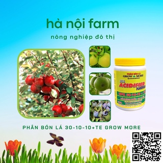 Phân Bón Lá Growmore 30-10-10+TE (Grow More 100g)