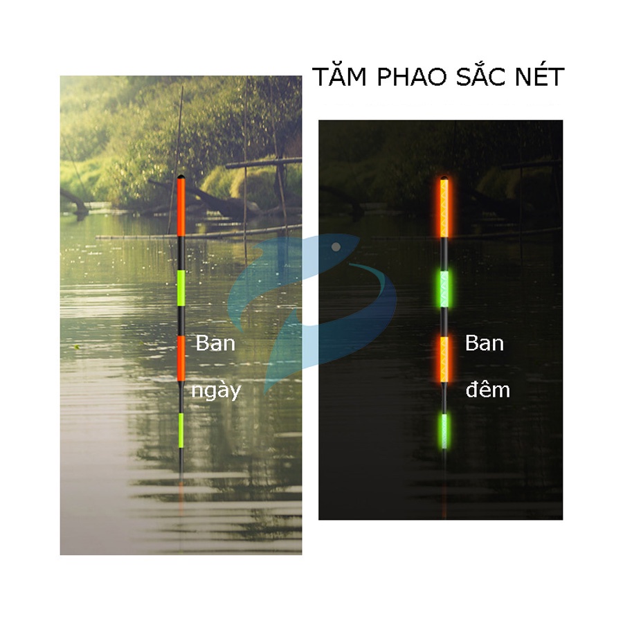 PHAO CÂU ĐÀI NGÀY VÀ ĐÊM SĂN HÀNG TIỂU PHƯỢNG HOÀNG MÃ DQ-HAPPY FISHING