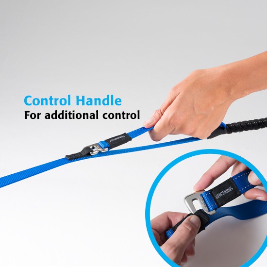 [Size M] Dây dắt cho thú cưng ROGZ  UTILITY SNAKE CONTROL LEAD (MEDIUM) (1.4m)
