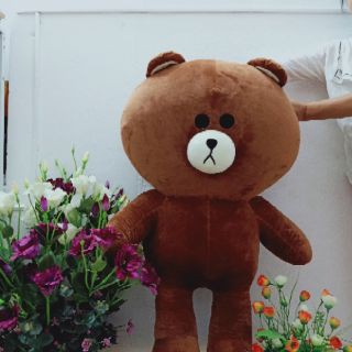 [Ảnh thật tự chụp] Gấu bông teddy brown khổ vải 1m2 - Guco