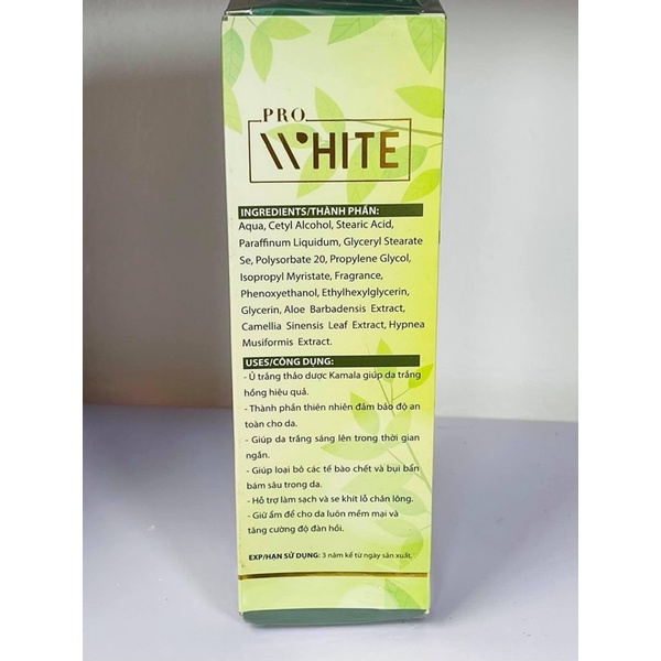 Ủ thảo dược siêu trắng - Pro White Kamala Body Snow White