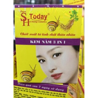 SH Today Kem nám 3 in 1 (15g )