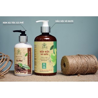 Combo gội xả trị rụng tóc 🍍FREESHIP🍍Dầu Gội Trị Rụng Tóc Và Kem Xả