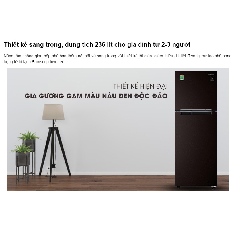 Tủ lạnh Samsung Inverter 236 lít RT22M4032BY/SV - Mới 100%