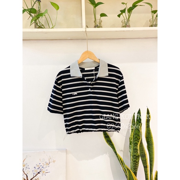 Áo Polo Croptop Rút Dây 𝗛𝗮̀ 𝗚𝗶𝗮𝗻𝗴 𝗩𝗻𝘅𝗸