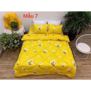 ga giường cotton