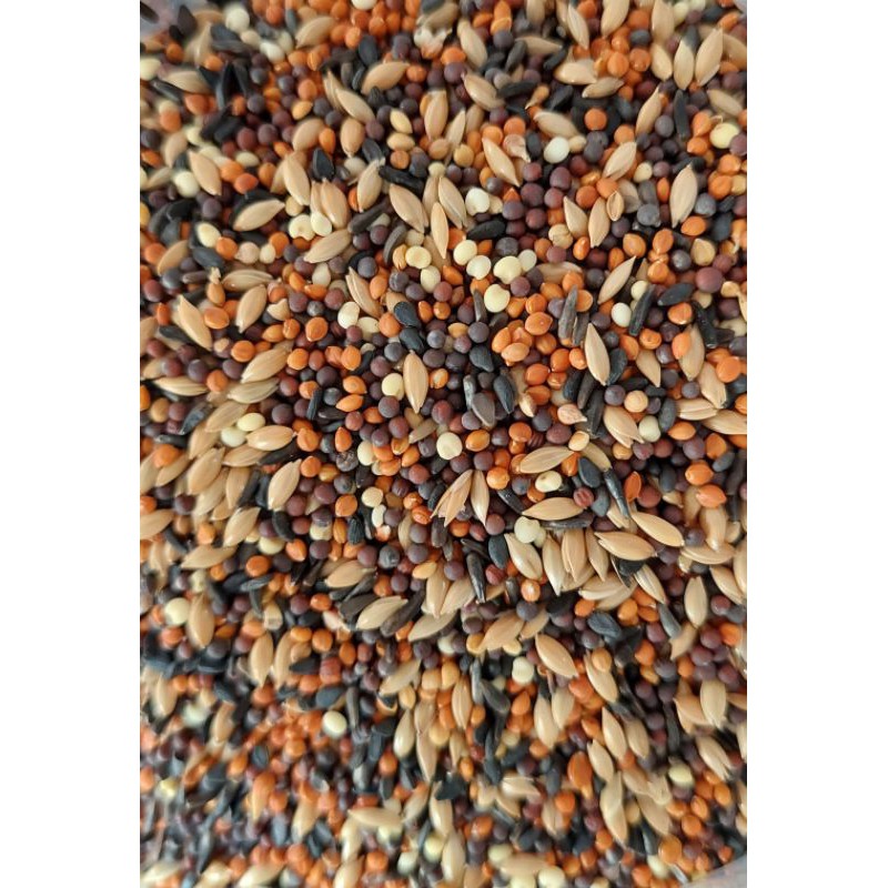 1KG HẠT TRỘN CHO YẾN HÓT, FINCH, MANH MANH, SẮC NHẬT, YẾN PHỤNG
