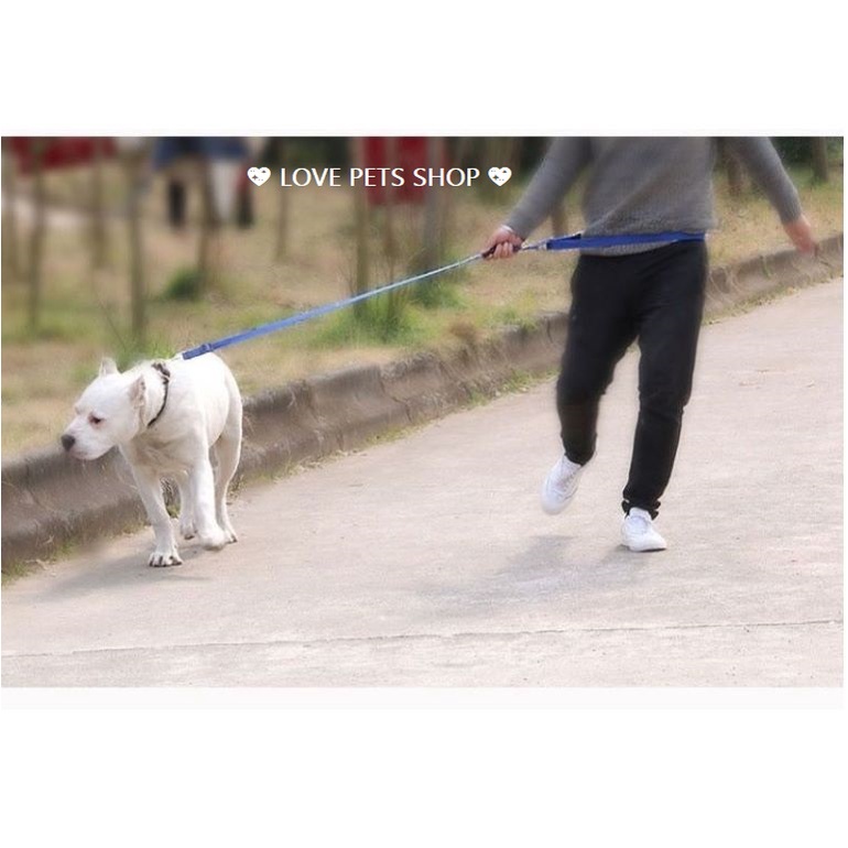 DÂY DẮT CHÓ MÈO ĐA NĂNG, DÂY DẮT CHÓ MÈO CÓ ĐAI GẮN VÀO BỤNG CHỦ NHÂN &quot;MẪU MỚI&quot; - LOVE PETS SHOP
