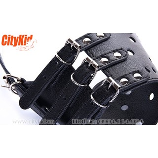 Rọ mõm chó bằng da