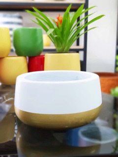 Chậu xi măng fiber form bầu lùn