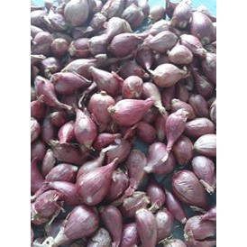 Hành tím Lý Sơn 1kg