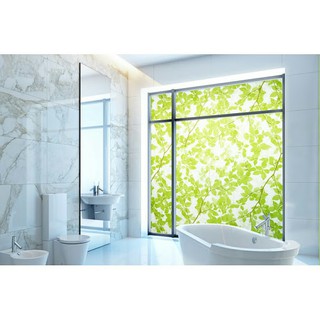 Decal dán kính họa tiết lá xanh 5m x 45cm