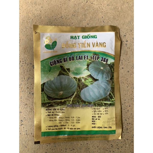 Hạt giống bí đồng tiền vàng- bí bánh xe- bí đỏ-bí ngô