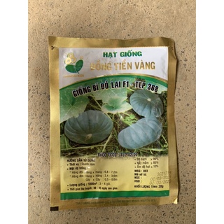 Hạt giống bí đồng tiền vàng- bí bánh xe- bí đỏ-bí ngô