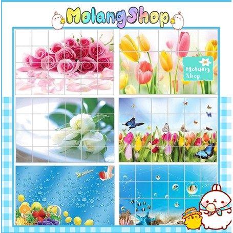 Decal Dán Nhà Bếp Cách Nhiệt Chống Nước/ Chống Dầu Mỡ 75x45cm (Mẫu Ngẫu Nhiên) Molangshop | BigBuy360 - bigbuy360.vn