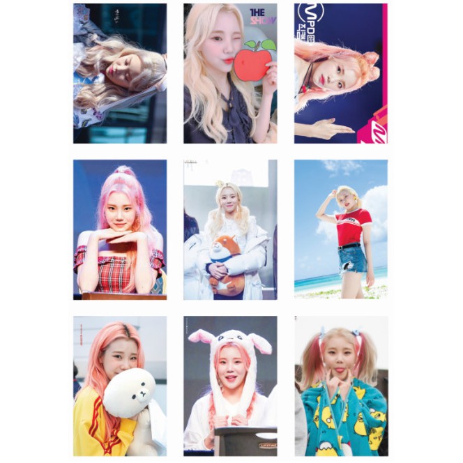 Lomo card 36 ảnh thành viên MOMOLAND - JOOE