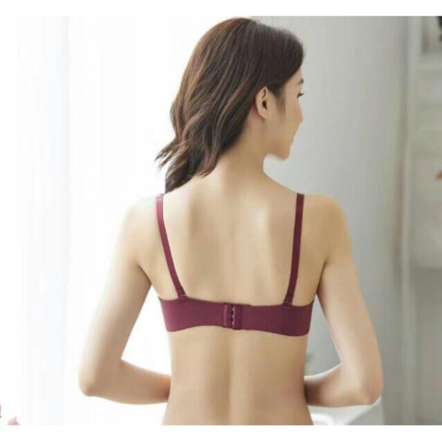 Áo Lót Đúc Quả Ngang Không Gọng 2188.