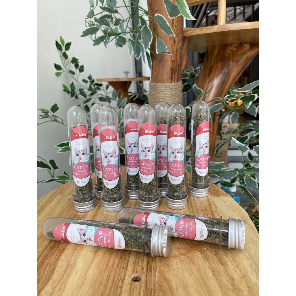 Cỏ Mèo Canip Dạng Ống 45-50ML