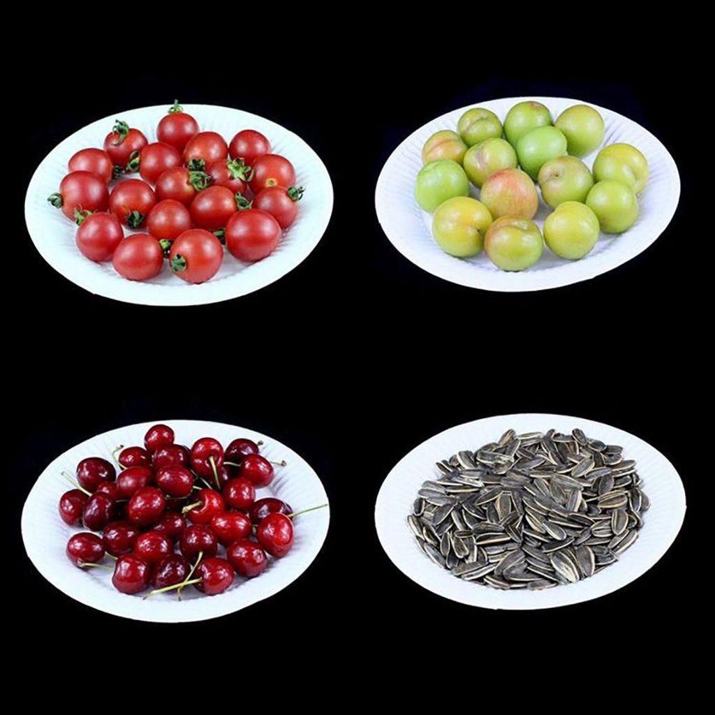 Đĩa Giấy Tròn Phân Hủy Sinh Học Màu Trắng Cho Tiệc BBQ