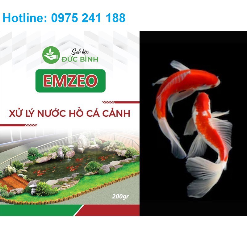 Chế phẩm xử lý nước hồ cá bị đục, xanh, rêu, vàng (emzeo cá cảnh)