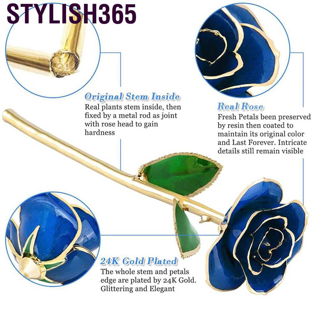 Stylish365 Real Dipped Blue Rose with Bracket Flower Decoration 24K Gold Plated Green Leaf Gift for Birthday Valentine's Day