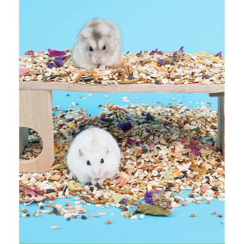 Thức ăn hải sản thảo mộc Crispy feed Jonsanty dinh dưỡng toàn diện cho hamster