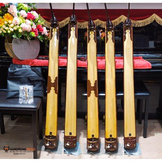 Đàn bầu gấp - đàn bầu điện - đàn bầu máy - tặng phụ kiện + bảo trì trọn đời