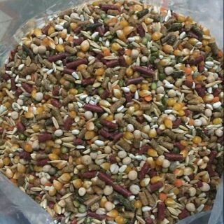 Ngũ cốc gà đá cao cấp nhập khẩu Mỹ