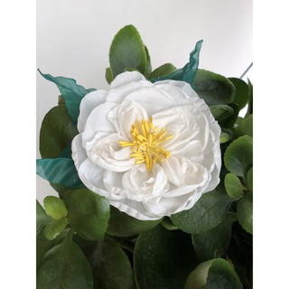 {sẵn hàng} HOA CÀI ÁO HANDMADE 100%